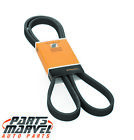 Pk060670 Crp Serpentine Belt 843266005743