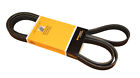 Pk060874 Crp Serpentine Belt