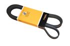 Pk060878 Crp Serpentine Belt