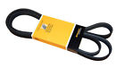 Pk060905 Crp Serpentine Belt