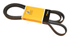 Pk060950 Crp Serpentine Belt
