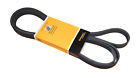 Pk060990 Crp Serpentine Belt