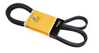 Pk060998 Crp Serpentine Belt