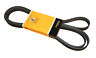 Pk061000 Crp Serpentine Belt 843266006467