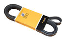 Pk061010 Crp Serpentine Belt
