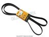 Pqr500320 Contitech Land Rover Range Drive Belt Primary Warranty