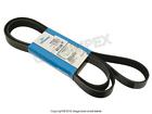 Pqr500330 Dayco Land Rover Range Drive Belt Primary Warranty