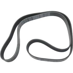 Rept316206b1 Rareelectrical Drive Belt 2006-2018 Toyota Avalon Camry Highlander Rav4 Plus Premium 3.5l 610k7