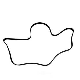 Sk060866 Skp Serpentine Belt