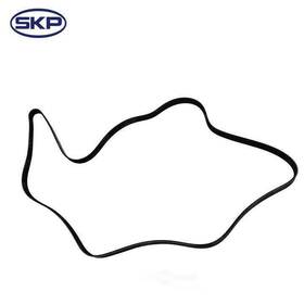 Sk060875 Skp Serpentine Belt
