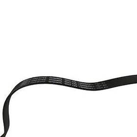 Sk060825 Skyward Automotive Serpentine Belt