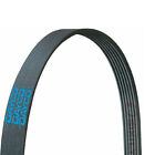 Sx5830 Dayco Serpentine Accessory Poly