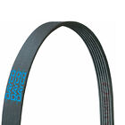 Sx5831 Dayco Serpentine Accessory Poly