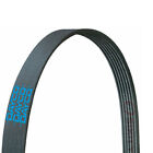Sx5960 Dayco Serpentine Accessory Poly