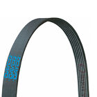 Sx6453 Dayco Serpentine Accessory Poly
