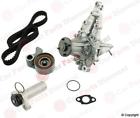 Tkt031 Aisin New Engine Timing Belt