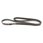 W0133-1839786-mtr Motorcraft For Ford Expedition Serpentine Belt