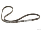W0133-1942692-mtr W0133-1942692 Central Motorcraft Belt Drive Fits Ford Focus Fbs