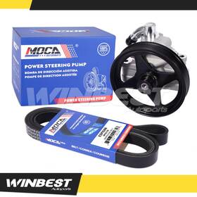 Wbpsp312p1sp66 Winbest Autoparts Power Steering Pump Serpentine Belt Fit 05-08 Ford F-150 06-08 Lincoln Mark Lt