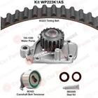 Wp223k1as Dayco New Engine Timing 036687795854