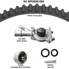 Wp283k1bs Dayco Engine Timing Belt