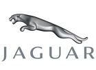 Xr828449 Jaguar Oem 01-03 S-type-serpentine