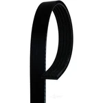 Acdelco 5K420 Professional Serpentine Belt, Standard, V Ribbed. Fixed Price $40.65.