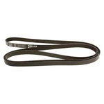 For Dodge Dakota 89-91 Genuine Gm Parts Primary Multi-rib Serpentine Belt. Fixed Price $54.88.