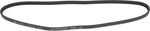 Autopart International 1602-360036 Serpentine Belt. Fixed Price $122.99.