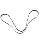 Genuine Ford Focus 2003-2007 Serpentine V-belt Oem 3S4Z-8620-AB. Fixed Price $37.25.