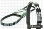 Poly-v Belt 4PK820 Bga Citro Ford Toyota Nissan Honda Suzuki Hyundai. Fixed Price $79.23.