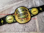 Gggfw Global Force Wrestling Championship Belt Metal Plates Real Leather Strap. Fixed Price $139.00.