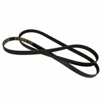 Serpentine Belt Motorcraft JK6-861AC. Fixed Price $37.05.