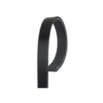 Genuine Acdelco For Chevy Cavalier 1998-2002 Standard V-ribbed Serpentine Belt. Fixed Price $63.09.