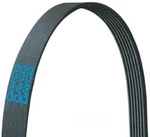 Serpentine Belt-natural Dayco 5060575. Fixed Price $27.29.