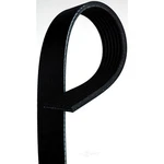 Acdelco 7K443 Professional Serpentine Belt, Standard, V Ribbed. Fixed Price $79.91.