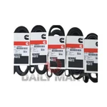 New Box Cummins 8PK1760 Fan Belt 3289257. Fixed Price $75.00.
