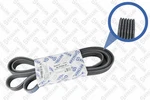 Stellox 2007-2023 Mitsubishi Lancer Belt 7085661. Fixed Price $39.00.