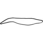 Serpentine Belt-protune Autopart Intl 1602-360356. Fixed Price $30.95.