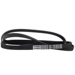 Serpentine Belt Motorcraft JK6-1004-B. Fixed Price $44.95.