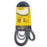 Continetal Keilrippenriemen Multi-belt Adult's New Car Part. Fixed Price $24.91.
