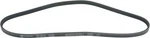 Autopart International 1602-360106 Serpentine Belt. Fixed Price $22.99.
