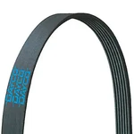 Dayco 5080680 Poly Rib Hd Serpentine Belt; Long, Count, Heavy Duty. Fixed Price $41.27.