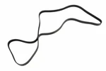 Genuine Gm V-ribbed Serpentine Belt 12630513. Fixed Price $34.75.