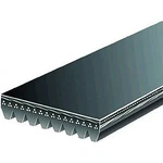 K080774HD Gates Serpentine Belt New Ford F650 F750 Freightliner M2 106 2554. Fixed Price $97.04.