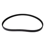 Continental Ag 4040620 Automotive Multi Belt. Fixed Price $47.71.