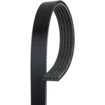 Acdelco 5K450 V Ribbed Serpentine Belt. Fixed Price $42.17.