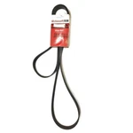 Motorcraft JK8-844 Belt, Serpentine. Fixed Price $16.95.