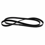 Genuine Ford Belt 1F1Z-8620-AD. Fixed Price $49.38.