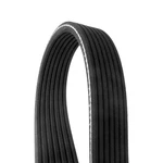 For Volkswagen Jetta 94-04 Conti-v Multirib Standard Serpentine Belt. Fixed Price $45.50.